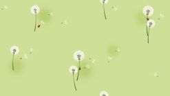 Giấy dán tường màu xanh cho bé