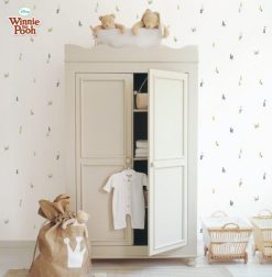 Giấy dán tường trẻ em D5121-1