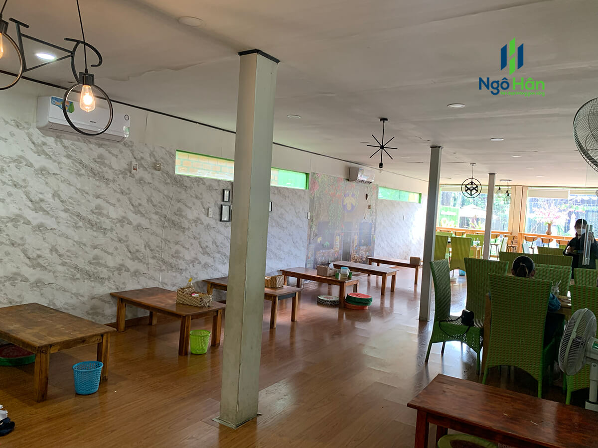 Giấy dán tường trà sữa shalala