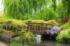 Tranh dán tường phong cảnh 1685