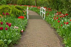 Tranh dán tường phong cảnh 1689