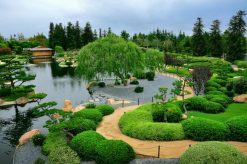 Tranh dán tường phong cảnh 1681