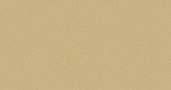 giấy dán tường 2133-3