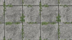 Giấy dán tường 3819-2