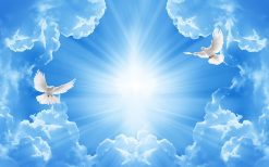 Tranh dán trần 3d 008