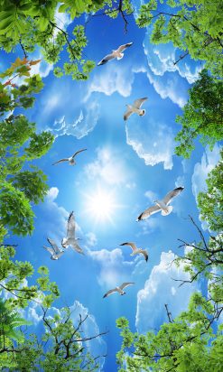 Tranh dán trần 3d 2021