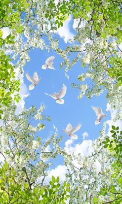 Tranh dán trần 3d 1127