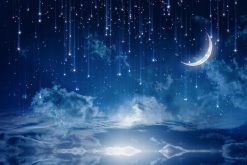 Tranh dán tường 3D 70