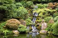 Tranh dán tường rừng núi 6959