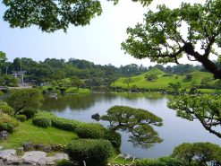 tranh dán tường phong cảnh 6515