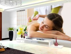 Tranh dán tường spa 0489